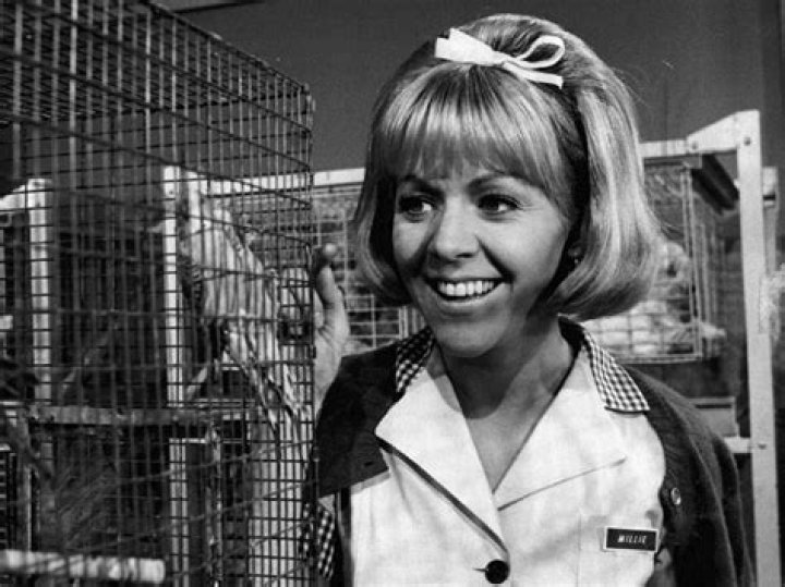 Arlene Golonka Net Worth And Wikipedia: Cause Of Death Revealed