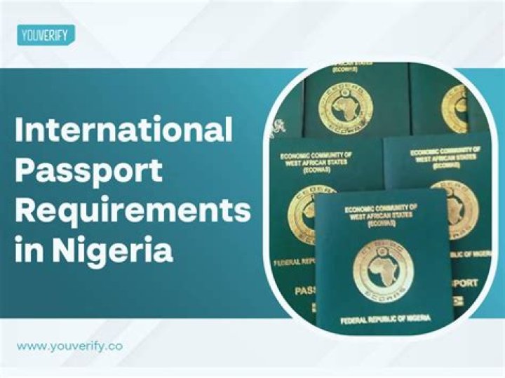How Much Is International Passport In Nigeria and How Do You Get One?