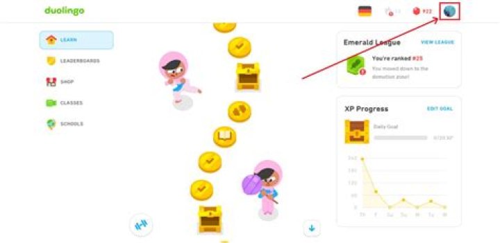 How to delete duolingo account
