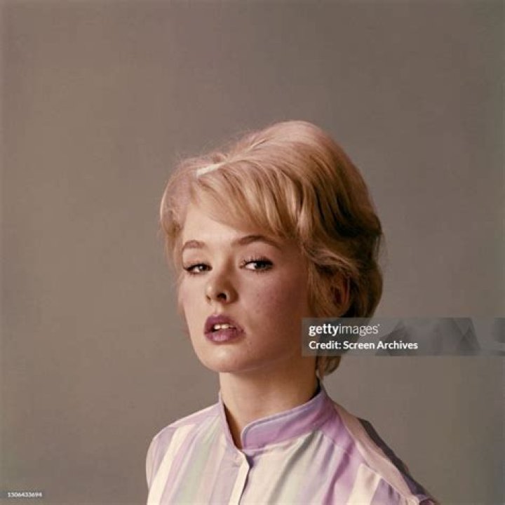 Joey Heatherton Biography; Net Worth, Age, Height, Songs, Albums, Parents, Siblings And Husband