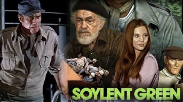 Leigh Taylor-Young Bio, Age, Husband, Son, Soylent Green, Movies and TV Shows