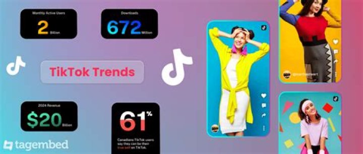 What The Heck is 5 Percent Tint On The Whip? TikTok Trend and Videos Reaction