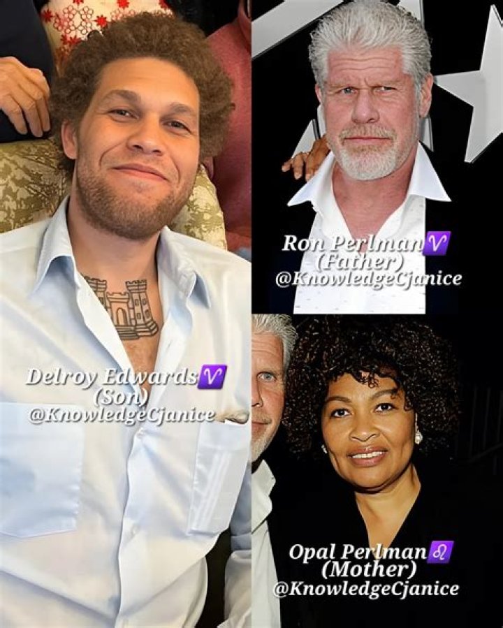 Who Is Opal Perlman? How Much Is She Getting From Ron Perlman Divorce?