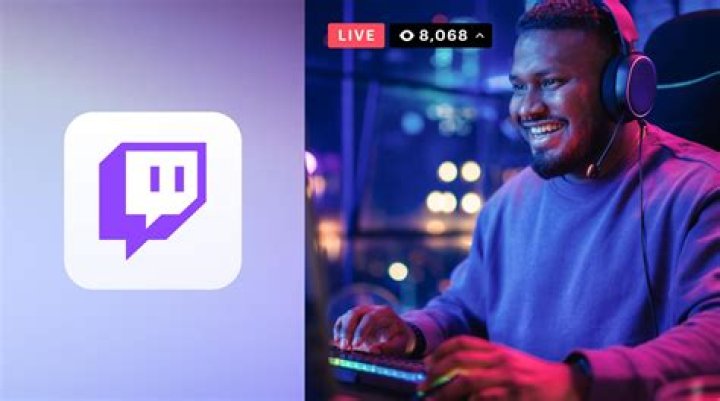Who Is Twitch Streamer Larxa? Everything On Her Age And Wiki