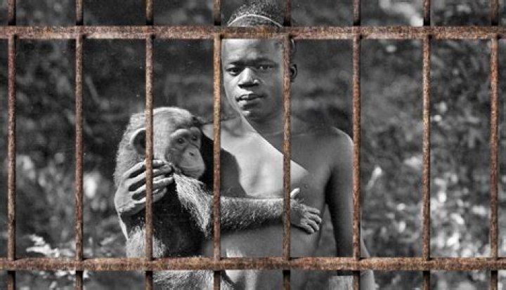 Who Was Ota Benga, Why Was He Brought To The United States?